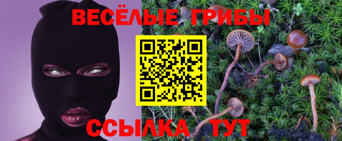 Псилоцибиновые грибы мицелий Гагарин