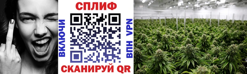 Бошки Шишки индика  Гагарин 